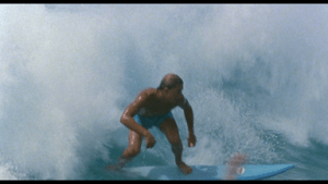 Lee más sobre el artículo Desafío en La Playa (North Shore) (1987)