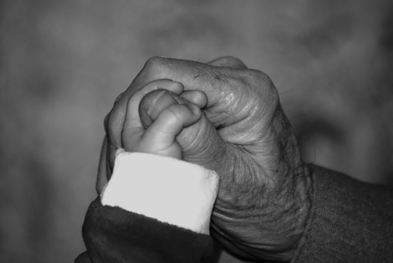 Lee más sobre el artículo ALMA