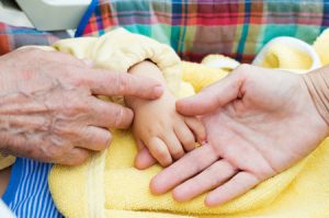 Lee más sobre el artículo THEO