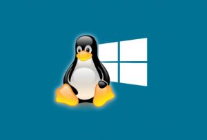 Lee más sobre el artículo Instalar software en nuestro Linux equivalente a Windows