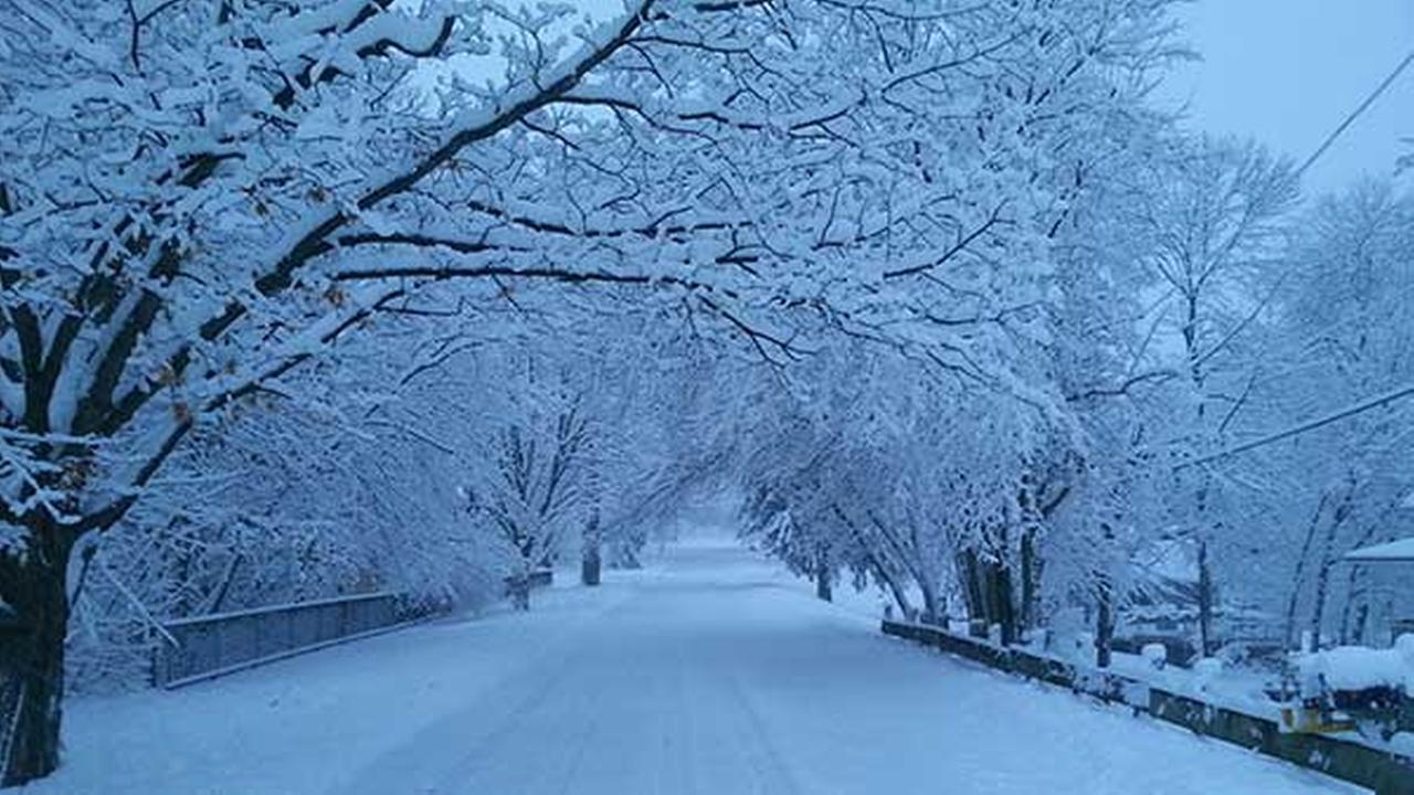 Lee más sobre el artículo FILOMENA