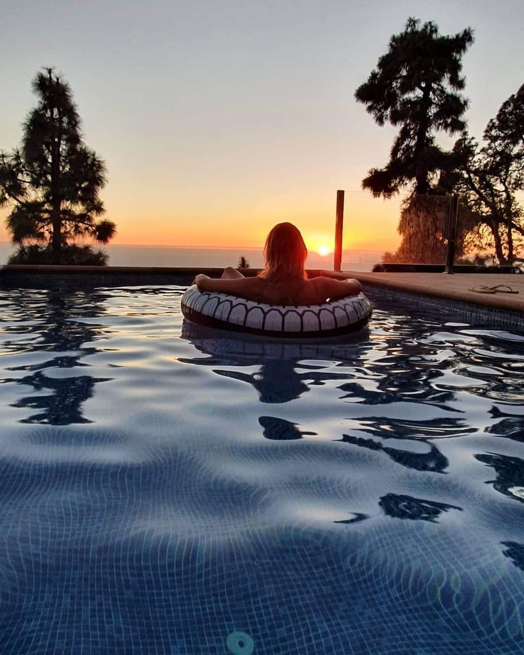 Lee más sobre el artículo LA PALMA