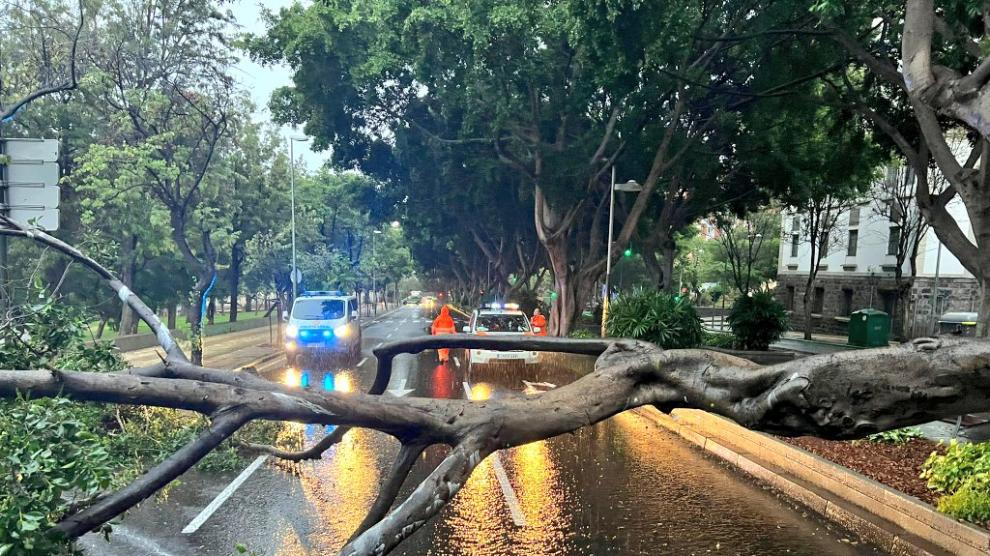 Lee más sobre el artículo A PARTIR DE LAS 12