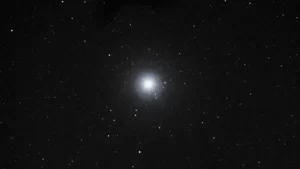 Lee más sobre el artículo SILVIA