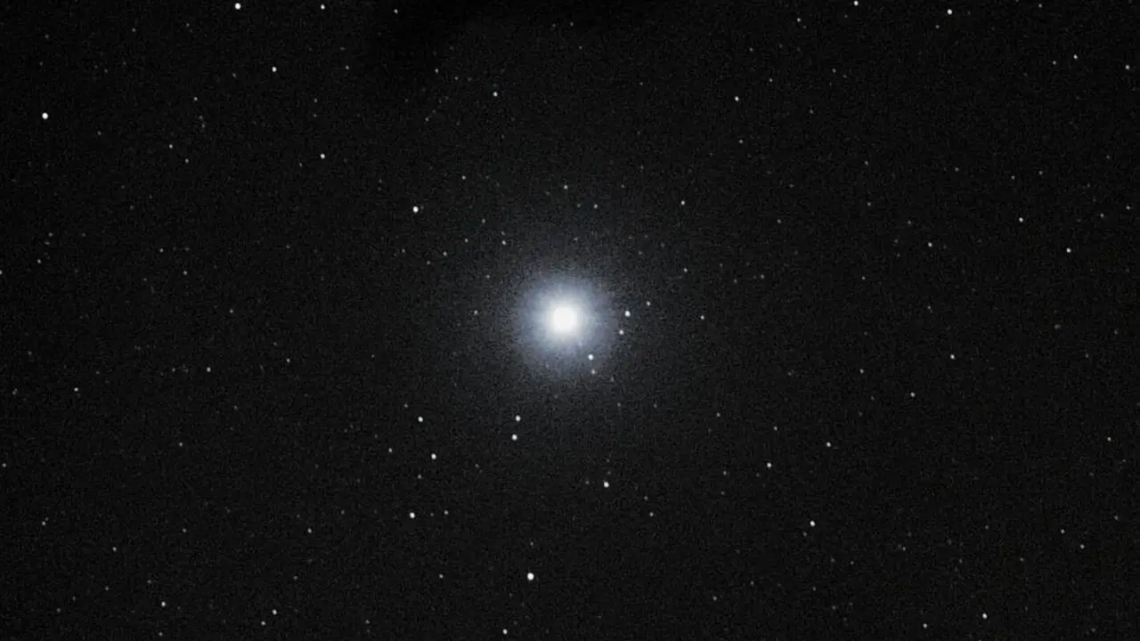 En este momento estás viendo SILVIA