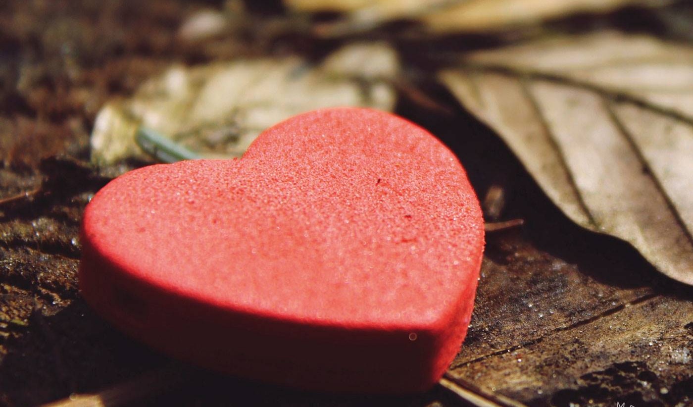 Lee más sobre el artículo A CORAZÓN ABIERTO