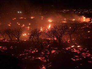 Lee más sobre el artículo FUEGO EN LA PALMA